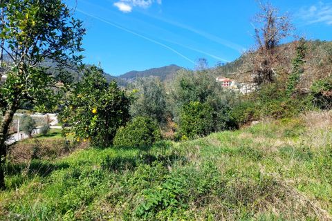 Helårsgrund i Amares, Braga, Amares - € 70.000 | Ref: 211918 - foto 4