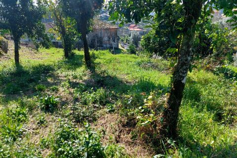 Helårsgrund i Amares, Braga, Amares - € 70.000 | Ref: 211918 - foto 5