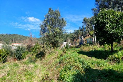 Helårsgrund i Amares, Braga, Amares - € 70.000 | Ref: 211918 - foto 6