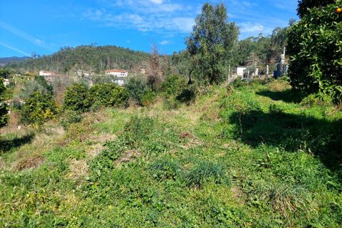 Helårsgrund i Amares, Braga, Amares - € 70.000 | Ref: 211918 - foto 7