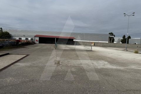 Helårsgrund i Cantanhede, Coimbra, Cantanhede - € 295.000 | Ref: 1012211/25 GL - foto 8