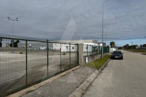 Helårsgrund i Cantanhede, Coimbra, Cantanhede - € 295.000 | Ref: 1012211/25 GL - foto 9