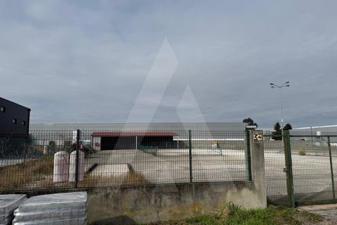 Helårsgrund i Cantanhede, Coimbra, Cantanhede - € 295.000 | Ref: 1012211/25 GL - foto 10