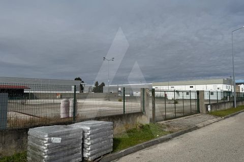 Helårsgrund i Cantanhede, Coimbra, Cantanhede - € 295.000 | Ref: 1012211/25 GL - foto 14
