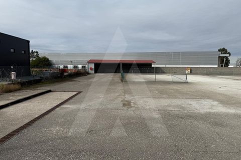 Helårsgrund i Cantanhede, Coimbra, Cantanhede - € 295.000 | Ref: 1012211/25 GL - foto 15