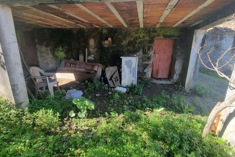 Byhus i Proenca-a-Nova, Castelo Branco, Proenca-a-Nova - € 41.000 | Ref: H728 - foto 25