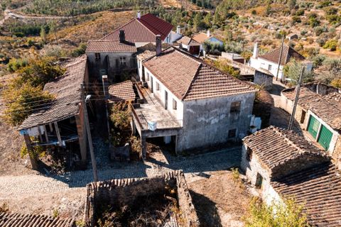 Byhus i Proenca-a-Nova, Castelo Branco, Proenca-a-Nova - € 41.000 | Ref: H728 - foto 1