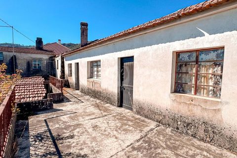 Byhus i Proenca-a-Nova, Castelo Branco, Proenca-a-Nova - € 41.000 | Ref: H728 - foto 6