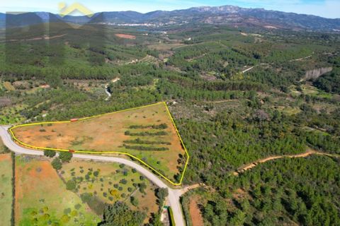 Helårsgrund i Castelo Branco, Castelo Branco, Castelo Branco - € 31.500 | Ref: 4833 - foto 1