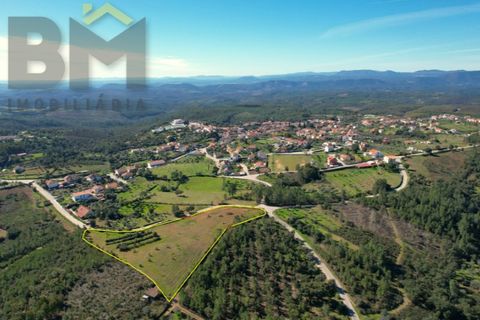 Helårsgrund i Castelo Branco, Castelo Branco, Castelo Branco - € 31.500 | Ref: 4833 - foto 2