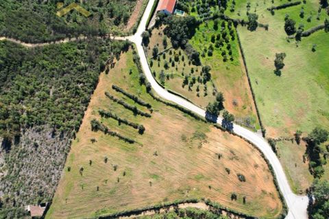 Helårsgrund i Castelo Branco, Castelo Branco, Castelo Branco - € 31.500 | Ref: 4833 - foto 4