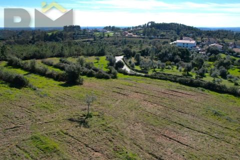 Helårsgrund i Castelo Branco, Castelo Branco, Castelo Branco - € 31.500 | Ref: 4833 - foto 5