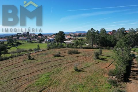 Helårsgrund i Castelo Branco, Castelo Branco, Castelo Branco - € 31.500 | Ref: 4833 - foto 6