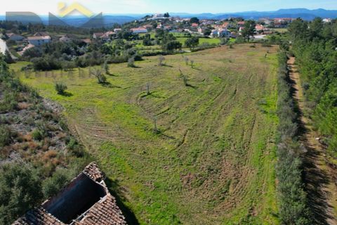 Helårsgrund i Castelo Branco, Castelo Branco, Castelo Branco - € 31.500 | Ref: 4833 - foto 7
