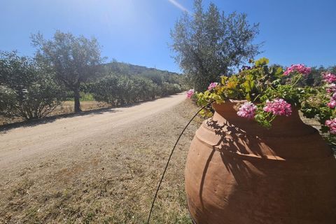 Farm hus i Evora, Evora, Evora - € 1.990.000 | Ref: EULFIN_1609 - foto 12