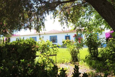 Farm hus i Evora, Evora, Evora - € 1.990.000 | Ref: EULFIN_1609 - foto 3