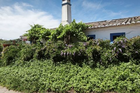 Farm hus i Evora, Evora, Evora - € 1.990.000 | Ref: EULFIN_1609 - foto 10