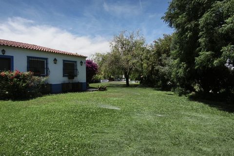 Farm hus i Evora, Evora, Evora - € 1.990.000 | Ref: EULFIN_1609 - foto 29