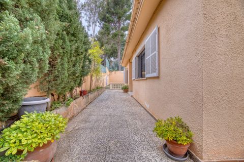 Villa i Santa Ponsa, Mallorca, Santa Ponsa - € 1.950.000 | Ref: SDV6027 - foto 22
