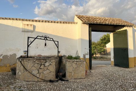 L'establiment comercial a Antequera, Malaga, Antequera - € 430.000 | Ref: R4974160 - foto 5