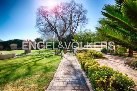 Finca i Borrassa, Gerona, Borrassa - € 3.000.000 | Ref: W-02YQEG - foto 38