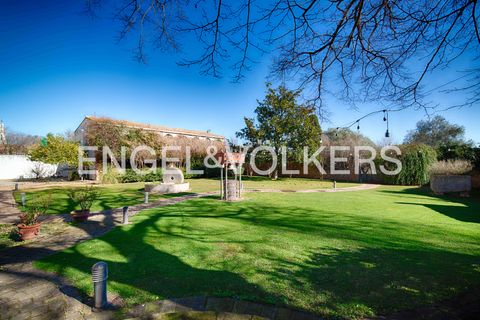 Finca i Borrassa, Gerona, Borrassa - € 3.000.000 | Ref: W-02YQEG - foto 35