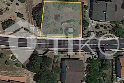 Terra a Olaia e Paco, Santarem, Olaia e Paco - € 24.000 | Ref: PR-236391 - foto 1