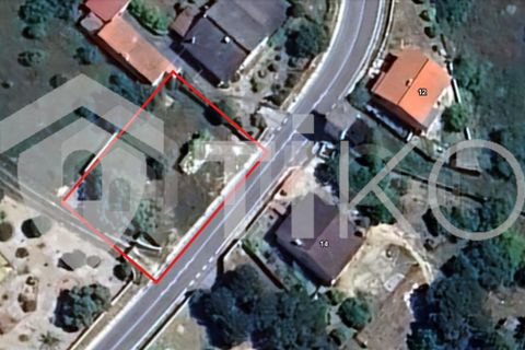 Terra a Olaia e Paco, Santarem, Olaia e Paco - € 24.000 | Ref: PR-236391 - foto 2
