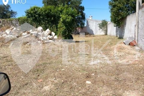 Terra a Olaia e Paco, Santarem, Olaia e Paco - € 24.000 | Ref: PR-236391 - foto 5