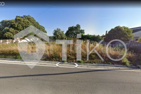 Terra a Olaia e Paco, Santarem, Olaia e Paco - € 24.000 | Ref: PR-236391 - foto 6