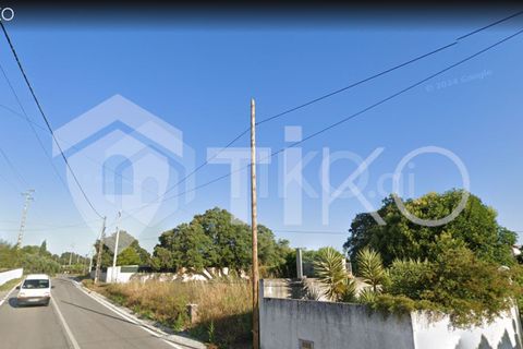 Terra a Olaia e Paco, Santarem, Olaia e Paco - € 24.000 | Ref: PR-236391 - foto 7