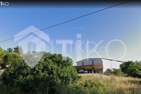 Terra a Olaia e Paco, Santarem, Olaia e Paco - € 24.000 | Ref: PR-236391 - foto 8