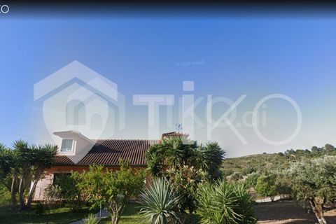 Terra a Olaia e Paco, Santarem, Olaia e Paco - € 24.000 | Ref: PR-236391 - foto 9