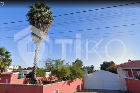 Terra a Olaia e Paco, Santarem, Olaia e Paco - € 24.000 | Ref: PR-236391 - foto 11