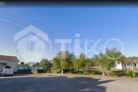 Terra a Olaia e Paco, Santarem, Olaia e Paco - € 24.000 | Ref: PR-236391 - foto 12