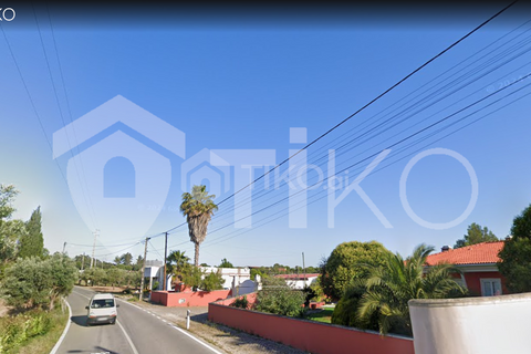 Terra a Olaia e Paco, Santarem, Olaia e Paco - € 24.000 | Ref: PR-236391 - foto 13