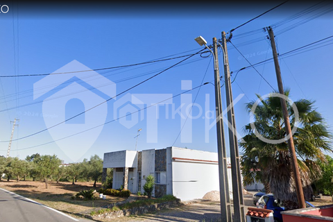 Terra a Olaia e Paco, Santarem, Olaia e Paco - € 24.000 | Ref: PR-236391 - foto 14