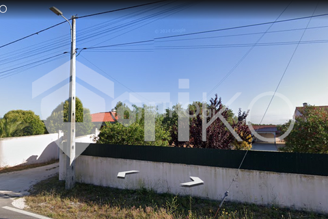 Terra a Olaia e Paco, Santarem, Olaia e Paco - € 24.000 | Ref: PR-236391 - foto 15