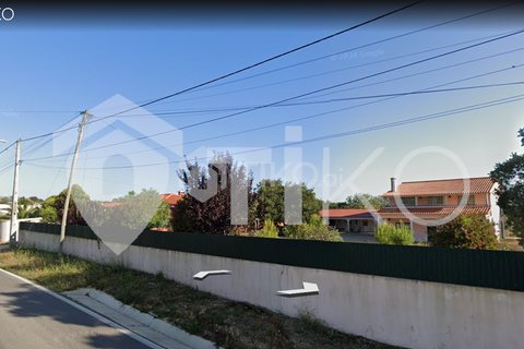 Terra a Olaia e Paco, Santarem, Olaia e Paco - € 24.000 | Ref: PR-236391 - foto 16