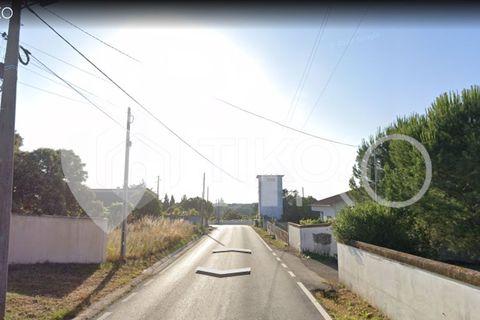 Terra a Olaia e Paco, Santarem, Olaia e Paco - € 24.000 | Ref: PR-236391 - foto 17