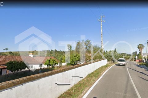 Terra a Olaia e Paco, Santarem, Olaia e Paco - € 24.000 | Ref: PR-236391 - foto 18
