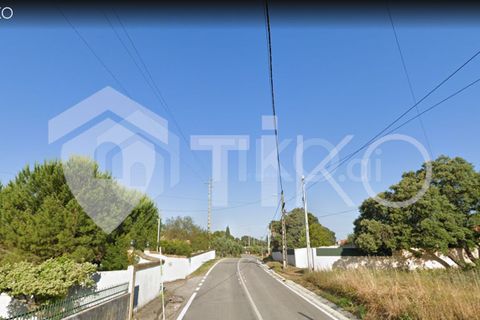 Terra a Olaia e Paco, Santarem, Olaia e Paco - € 24.000 | Ref: PR-236391 - foto 19