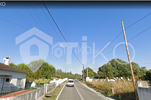 Terra a Olaia e Paco, Santarem, Olaia e Paco - € 24.000 | Ref: PR-236391 - foto 20