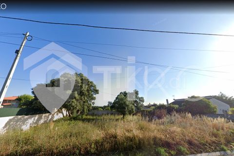 Terra a Olaia e Paco, Santarem, Olaia e Paco - € 24.000 | Ref: PR-236391 - foto 21