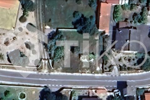 Terra a Olaia e Paco, Santarem, Olaia e Paco - € 24.000 | Ref: PR-236391 - foto 23