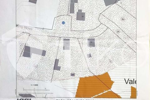 Terra a Olaia e Paco, Santarem, Olaia e Paco - € 24.000 | Ref: PR-236391 - foto 29