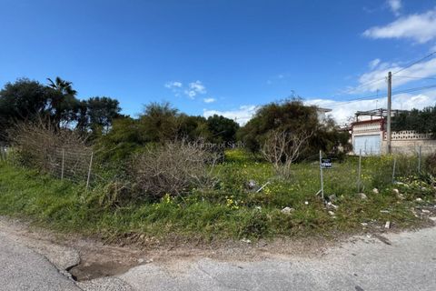 Terra a Scicli, Ragusa, Scicli - € 56.000 | Ref: EN 01 - foto 3