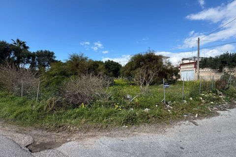 Terra a Scicli, Ragusa, Scicli - € 56.000 | Ref: EN 01 - foto 5