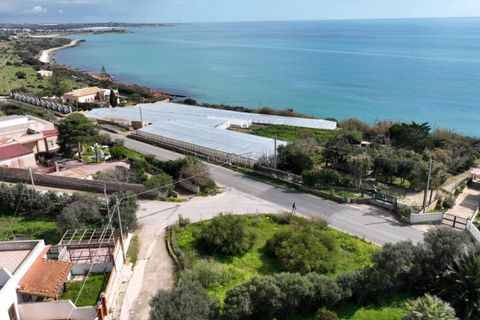 Terra a Scicli, Ragusa, Scicli - € 56.000 | Ref: EN 01 - foto 7