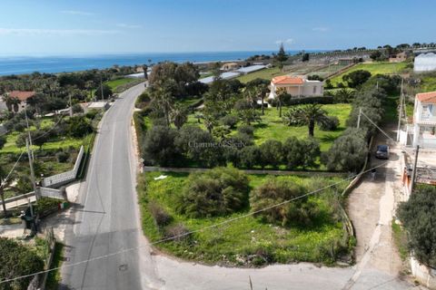 Terra a Scicli, Ragusa, Scicli - € 56.000 | Ref: EN 01 - foto 8